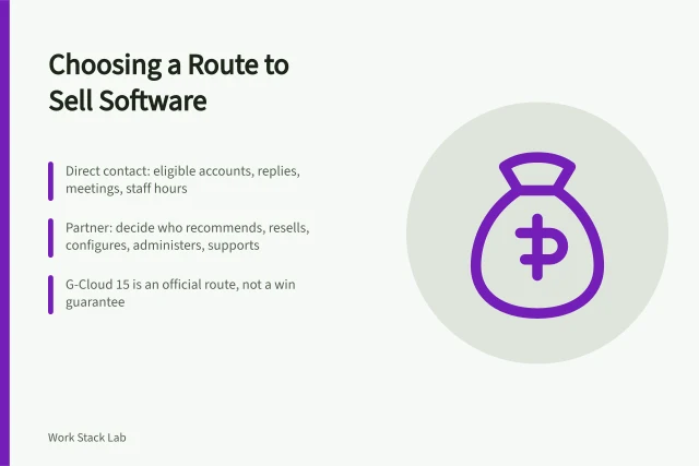 Card comparing direct, partner and public-sector software sales routes. Business productivity software: choosing a direct, partner or framework route